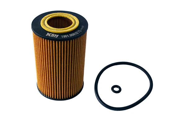 Oil Filter (1801.0081075)