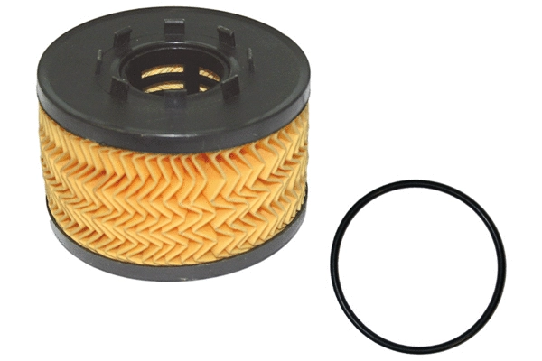 Oil Filter (1801.0081023)