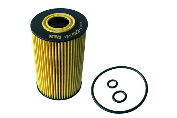 Oil Filter (1801.0081072)