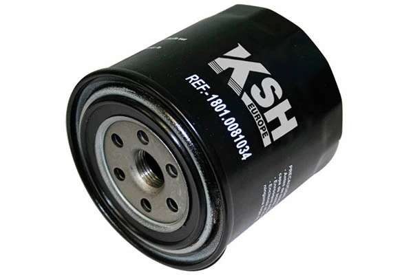 Oil Filter (1801.0081034)