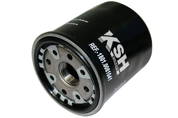 Oil Filter (1801.0081041)