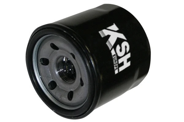 Oil Filter (1801.0081061)