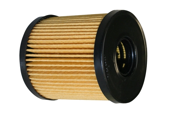 Oil Filter (1801.0081058)