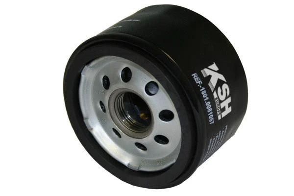 Oil Filter (1801.0081057)