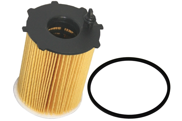 Oil Filter (1801.0081011)