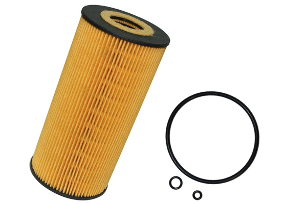 Oil Filter (1801.0081028)