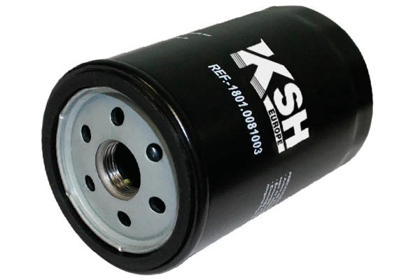 Oil Filter (1801.0081003)