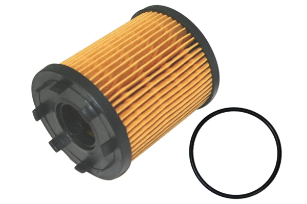 Oil Filter (1801.0081017)