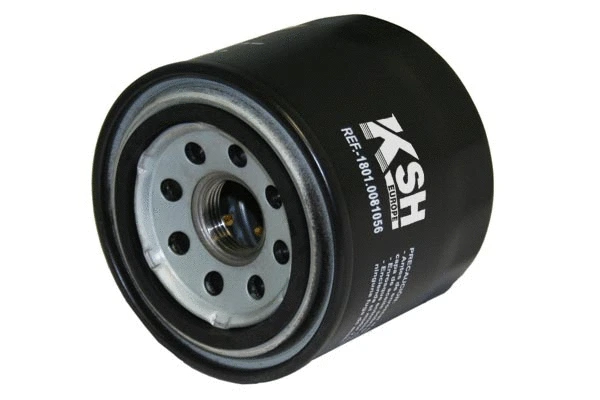 Oil Filter (1801.0081056)