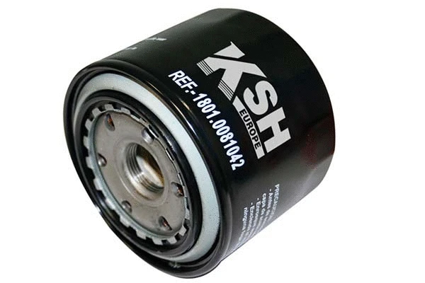 Oil Filter (1801.0081042)