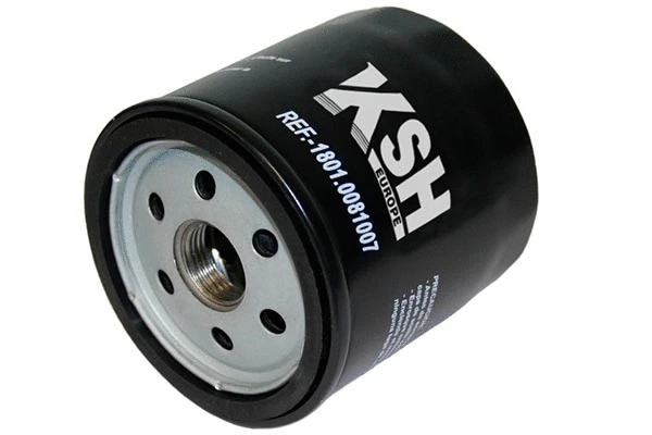 Oil Filter (1801.0081007)