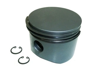 Piston, air compressor (01.5750.00)