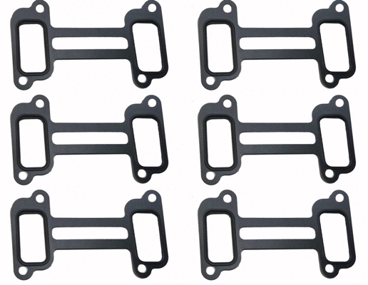 Gasket, intake manifold (14.3000.30)