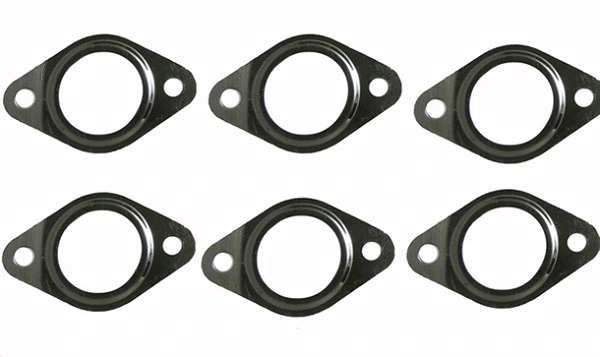 Gasket, exhaust manifold (14.3000.01)