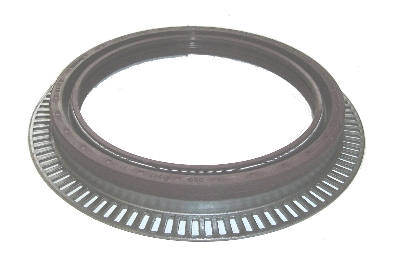 Shaft Seal (16.6990.10)