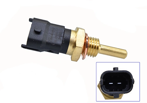 Sensor (25.2500.17)