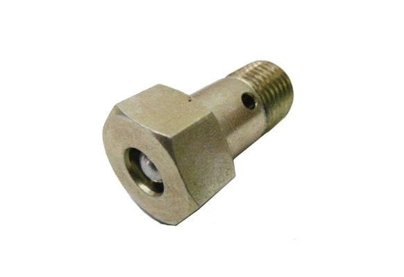 Valve, fuel supply system (14.5000.04)