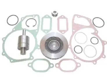 Repair Kit, water pump (12.R380.065)