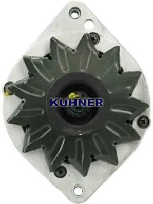 Alternator (30519RI)