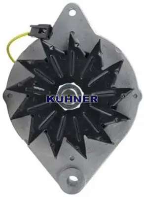 Alternator (556035RI)