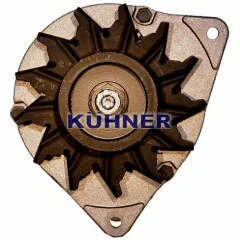 Alternator (301029RI)