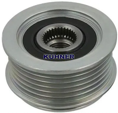 Alternator Freewheel Clutch (885541M)