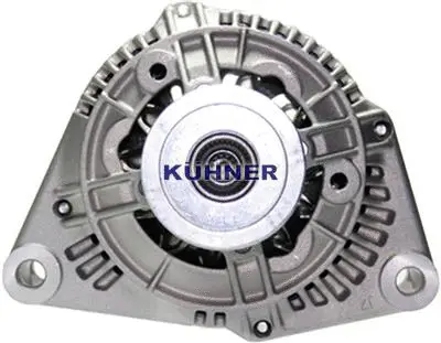 Alternator (301209RI)