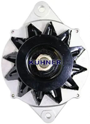 Alternator (40769RI)