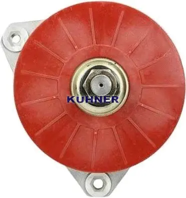 Alternator (301667RI)