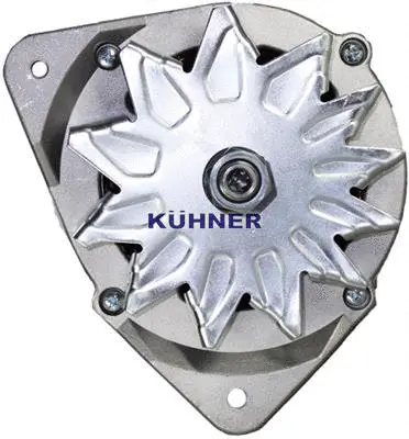 Alternator (301202RI)