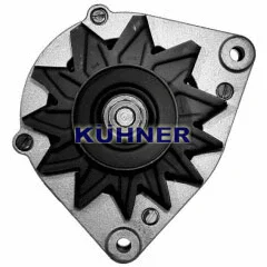Alternator (30263RI)