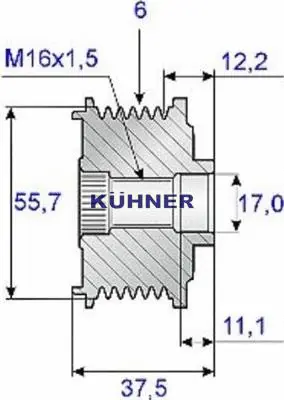 Alternator Freewheel Clutch