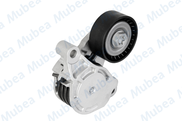 Belt Tensioner, V-ribbed belt (0053.61569-E)