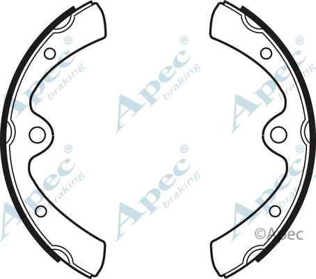Brake Shoe Set (SHU450)
