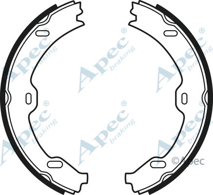 Brake Shoe Set, parking brake (SHU704)