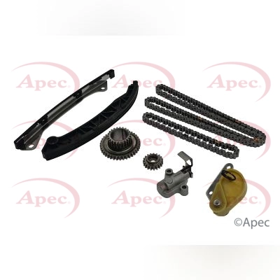 Timing Chain Kit (ACK4065)