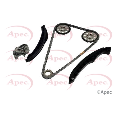 Timing Chain Kit (ACK4006)