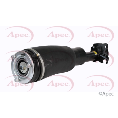 Air Suspension Strut (AAS1043)