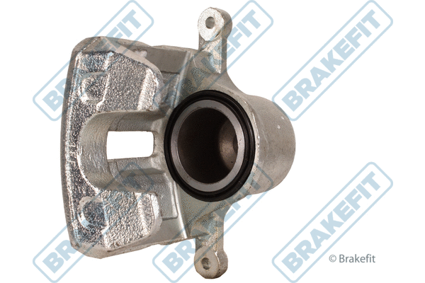 Brake Caliper (BCA2019)