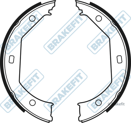 Brake Shoe Set, parking brake (BSH1019)