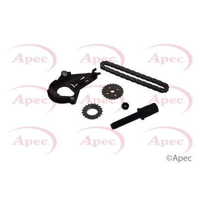 Timing Chain Kit (ACK4096)