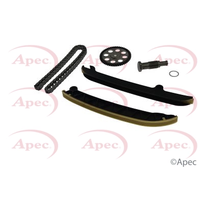 Timing Chain Kit (ACK4029)