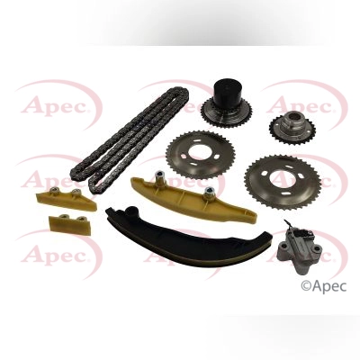Timing Chain Kit (ACK4131)