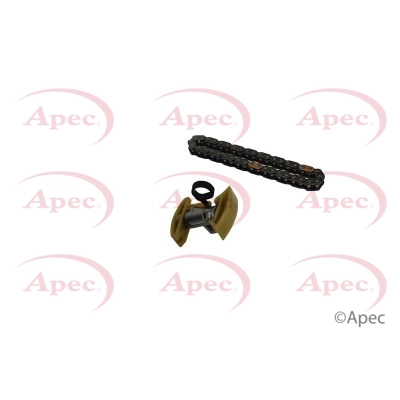 Timing Chain Kit (ACK4080)