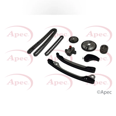 Timing Chain Kit (ACK4073)