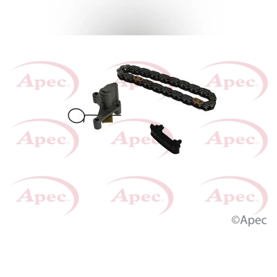 Timing Chain Kit (ACK4060)