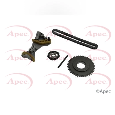 Timing Chain Kit (ACK4166)