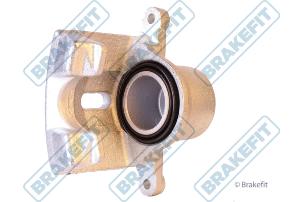 Brake Caliper (BCA1818E)