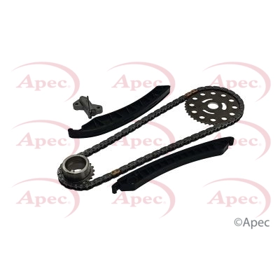 Timing Chain Kit (ACK4046)