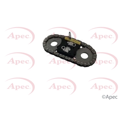Timing Chain Kit (ACK4107)